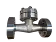Lift Check Valve